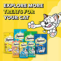 Temptations Savoury Salmon Flavour Cat Treat - 85g (Pack Of 12)