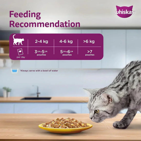 Whiskas Chicken in Gravy Wet Cat Food - All Breeds Adult (+1 year) - 80g (Pack Of 56) - Zigly