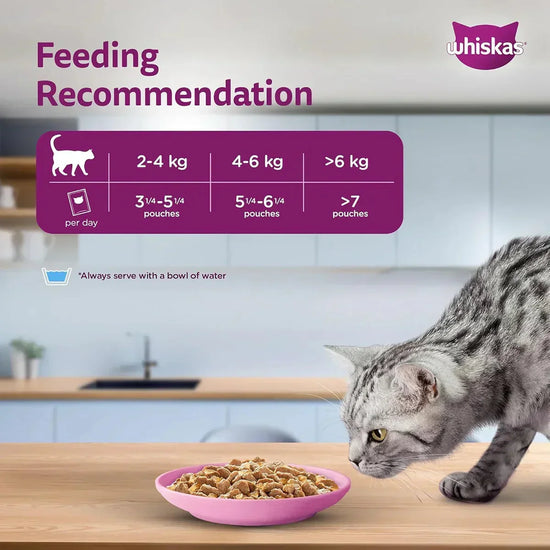 Whiskas Salmon in Gravy Wet Cat Food - All Breeds Adult (+1 year) - 80 g - Zigly