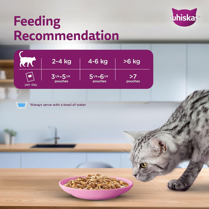 Whiskas Salmon in Gravy Wet Cat Food - All Breeds Adult (+1 year) - 80 g