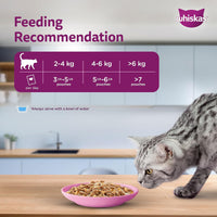 Whiskas Salmon in Gravy Wet Cat Food - All Breeds Adult (+1 year) - 80 g
