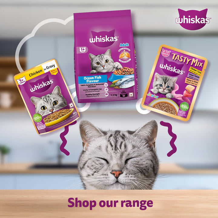 Whiskas Tuna in Jelly Wet Cat Food - All Breeds Adult (+1 year) - 80g (Pack Of 112)