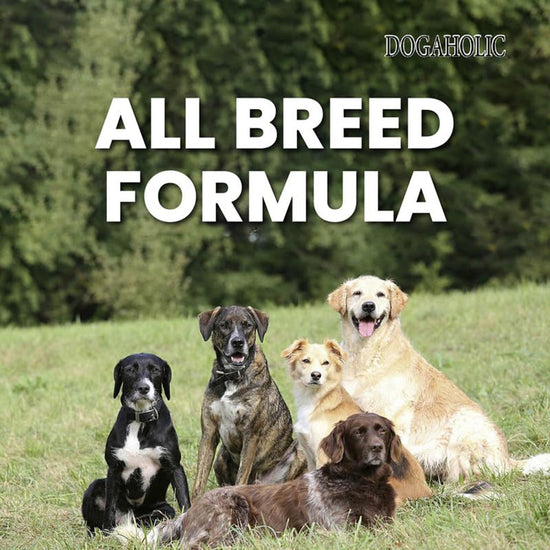 dogaholic-max-bbq-chicken-bacon-strips-dog-meaty-treat-130-g