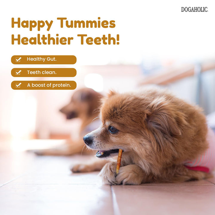 Dogaholic Milky Chew Cheese & Chicken Sticks Dog Treat - 10 pieces