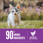 Orijen Cat & Kitten Dry Cat Food - 1.8 Kg