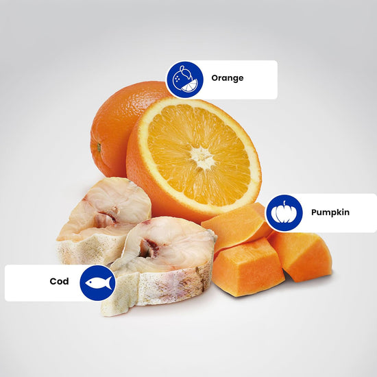 farmina-n-d-ocean-codfish-pumpkin-and-orange-dry-dog-food-medium-maxi-breed-adult-12kg