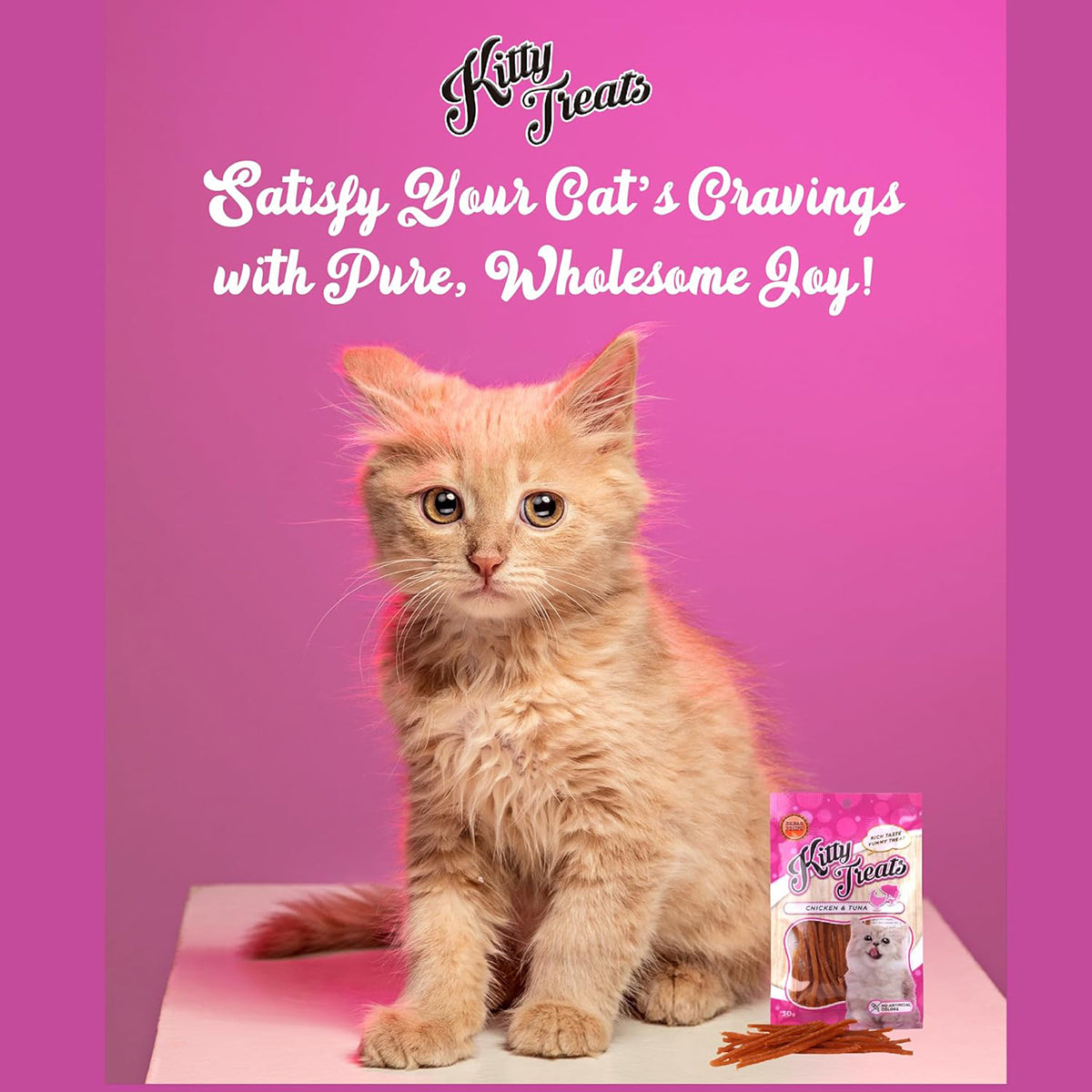 Neko Cat Chicken & Tuna Cat Meaty Treat - 30g