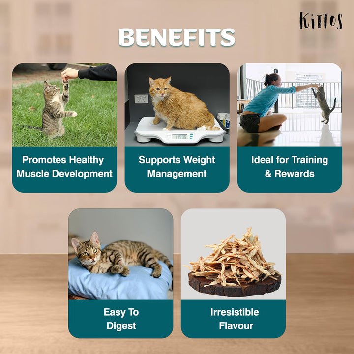 Kittos Tuna Jerky Strips Cat Meaty Treat – 35gm
