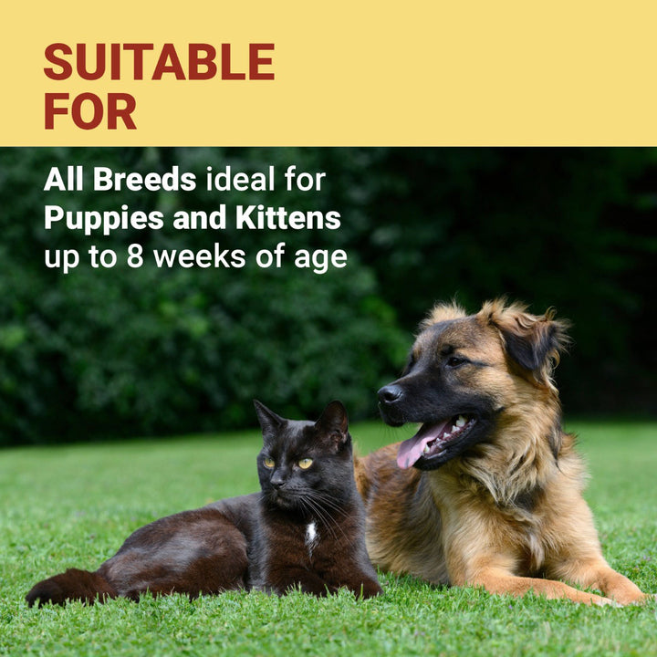 Vetoquinol Samolac Pro Puppy Weaning Food - 400 gm