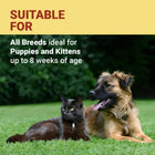 Vetoquinol Samolac Pro Puppy Weaning Food - 400g - Zigly