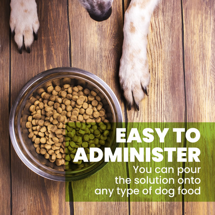 Palamountains My Beau Vitamin & Mineral Tasty Oil Supplement For Dog - 300 ml