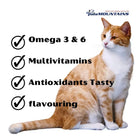 Palamountains My Beau Vitamin & Mineral Supplement for Cats - 300-ml - Zigly