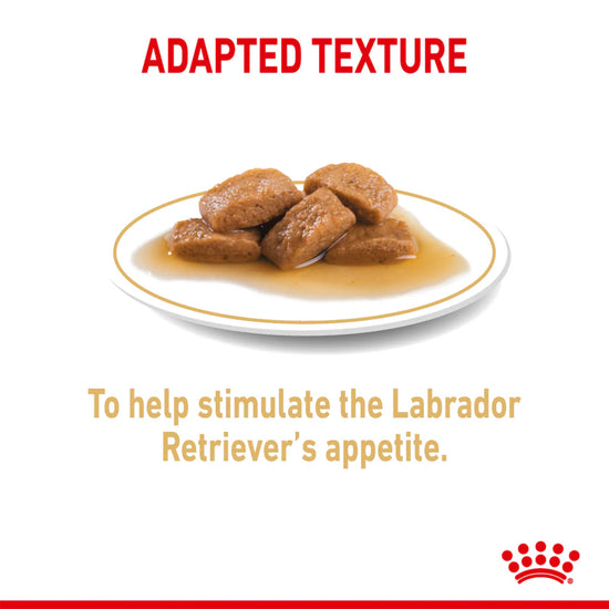 royal-canin-labrador-retriever-adult-wet-dog-food-140g