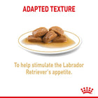 Royal Canin Labrador Retriever Adult Wet Dog Food - 140g - Zigly