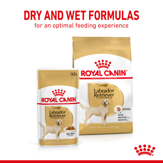 royal-canin-labrador-retriever-adult-wet-dog-food-140g