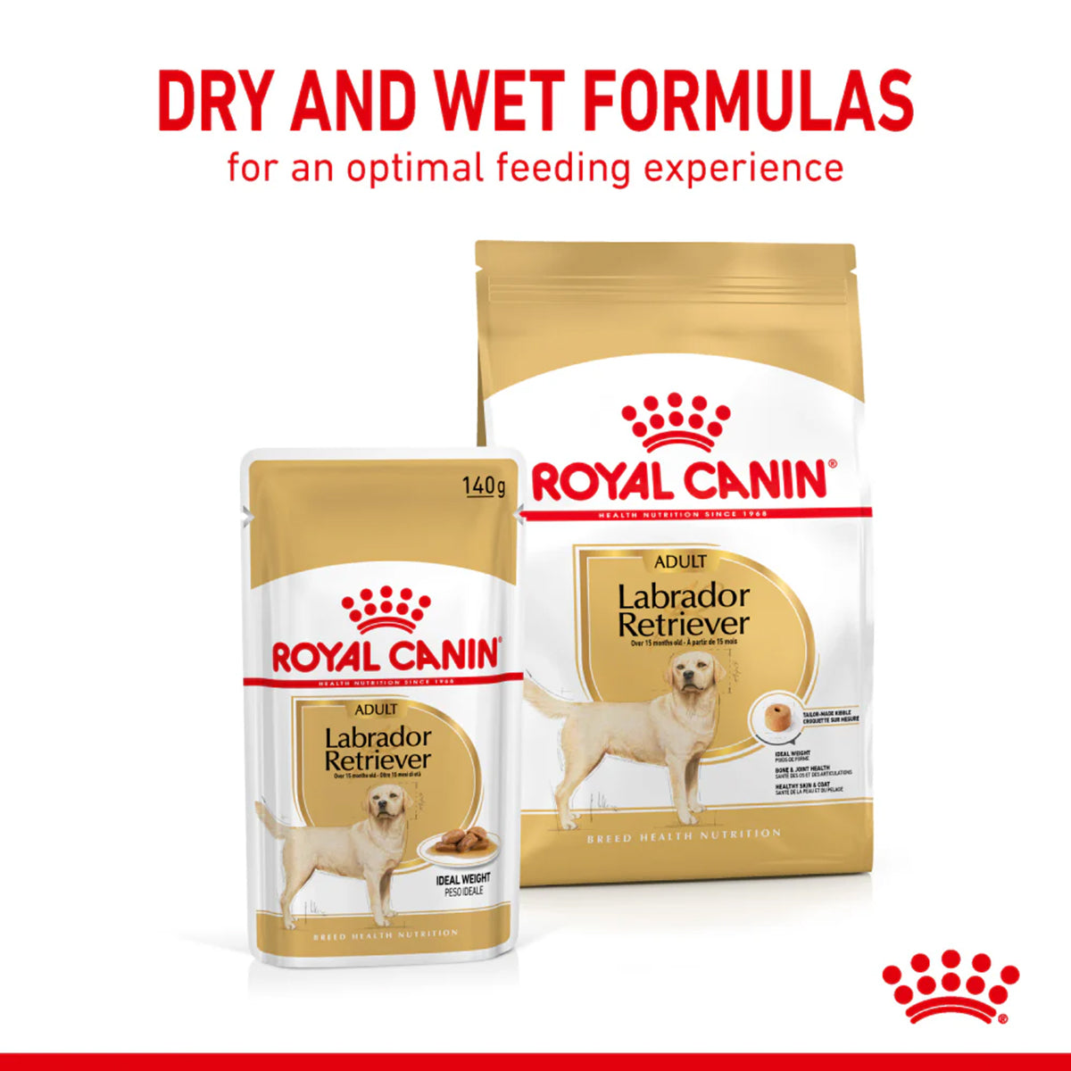 royal-canin-labrador-retriever-adult-wet-dog-food-140g