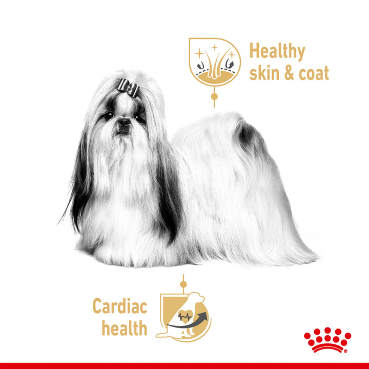 Royal Canin Shihtzu Adult Wet Dog Food - 85g