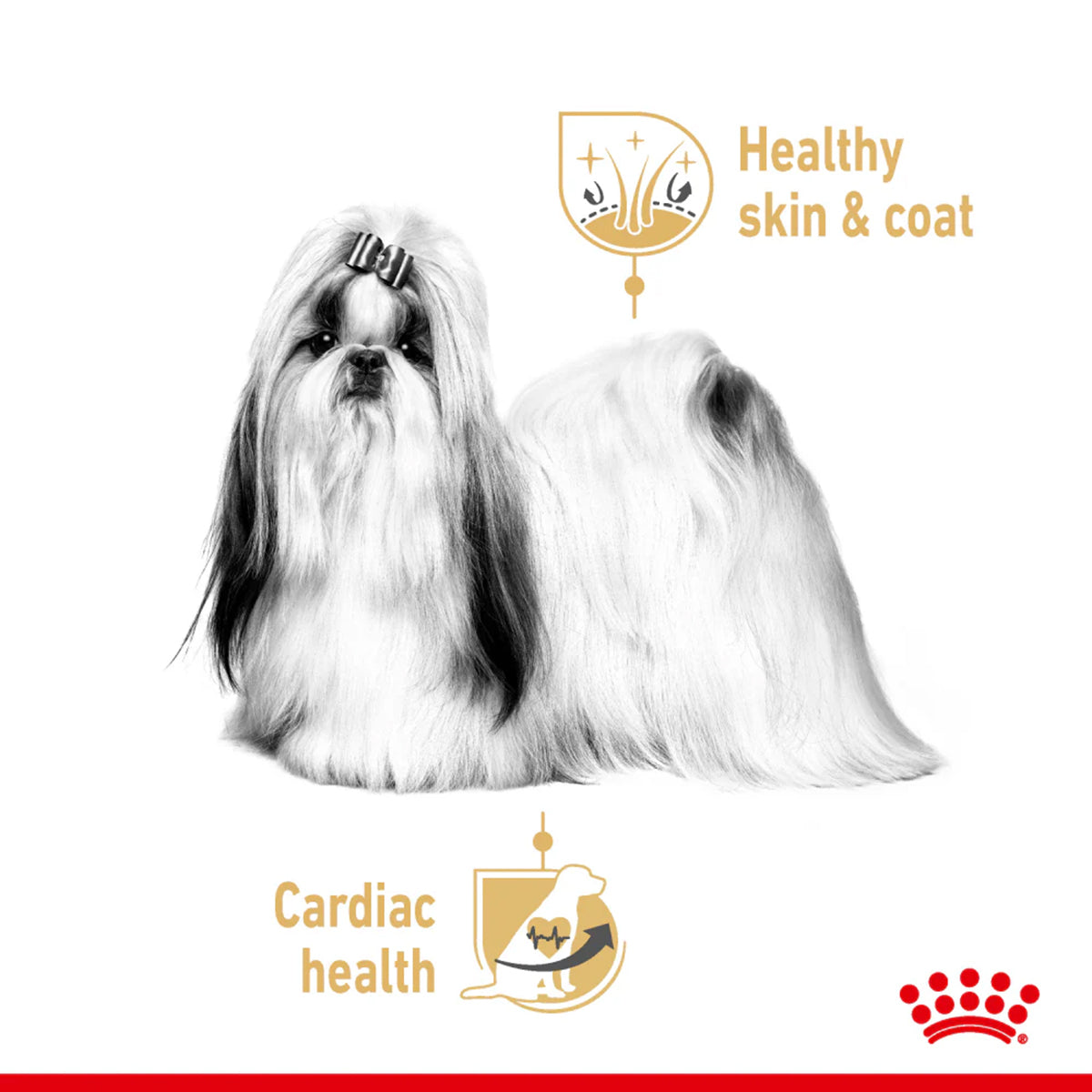 Royal Canin Shihtzu Adult Wet Dog Food - 85g