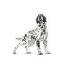 Royal Canin Veterinary Diet Satiety Weight Management Dog Dry Food - Zigly