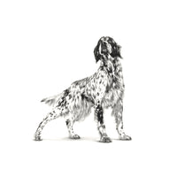 Royal Canin Veterinary Diet Satiety Weight Management Dog Dry Food