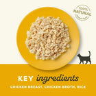 Zigly shredded chicken breast and rice cat food on yellow plate, 100% natural ingredients.