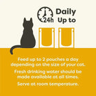 Zigly cat feeding guide with silhouette, two food pouches, daily 24h icon, and care tips.