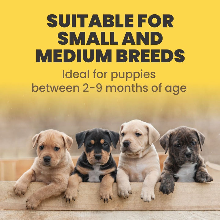Arden Grange Weaning Puppy Fresh Chicken & Rice Dry Food