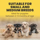 Arden Grange Weaning Puppy Fresh Chicken & Rice Dry Food - Zigly