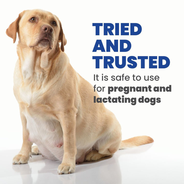 Arden Grange Puppy/Junior Fresh Chicken & Rice Dry Dog Food - Large Breed