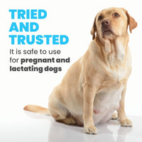 Arden Grange Puppy/Junior Fresh Chicken Dry Dog Food - Small/Medium Breed