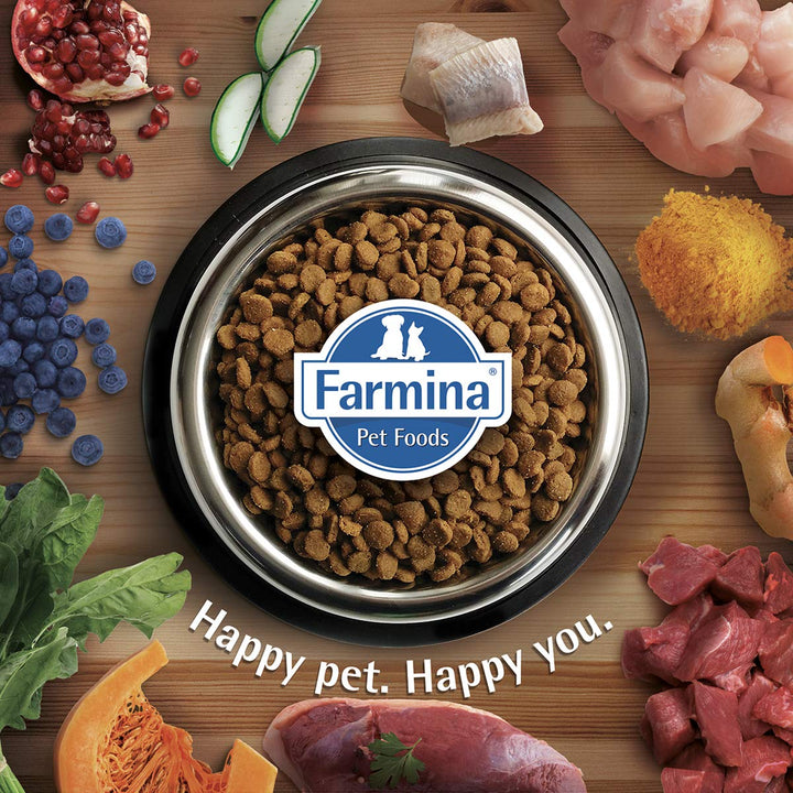 Farmina Grain Free Pumpkin Lamb & Blueberry Dry Dog Food - Mini Breed Adult - 7kg