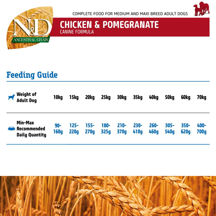 Farmina N&D Ancestral Grain Chicken & Pomegranate Medium & Maxi Breed Adult - Dry Dog Food - 2.5kg