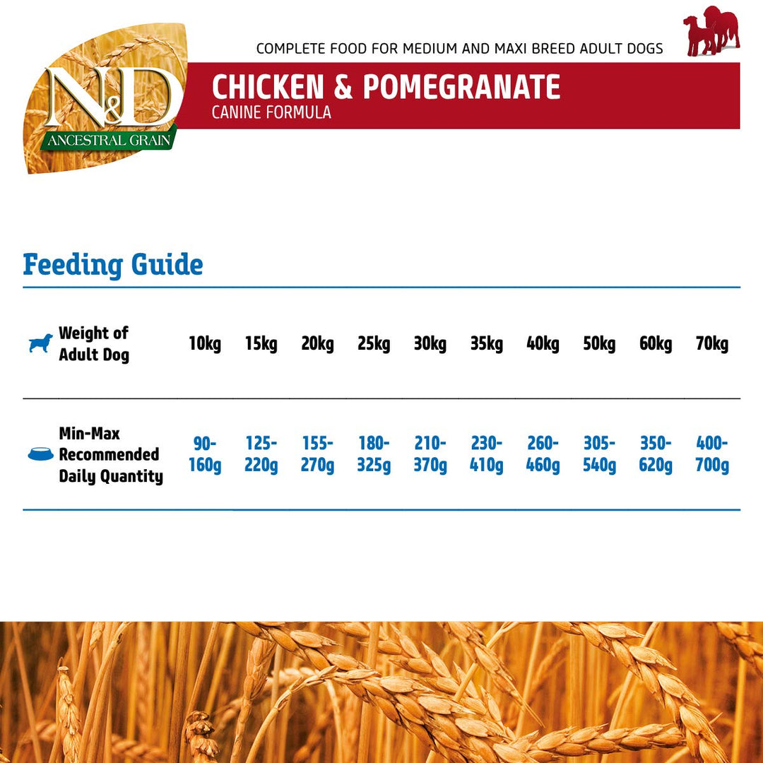 Farmina N&D Ancestral Grain Chicken & Pomegranate Medium & Maxi Breed Adult - Dry Dog Food - 2.5kg