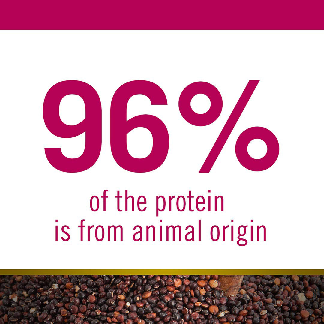 Farmina N&D Grain Free Quinoa Weight Management (Lamb, Broccoli & Asparagus) Dry Cat Food - All Breed Adult - 1.5kg