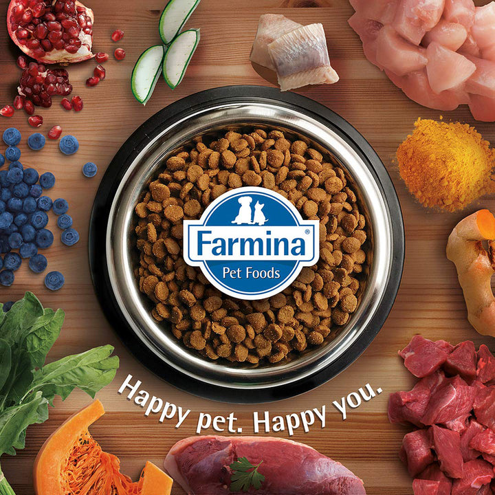 Farmina N&D Grain Free Prime Chicken & Pomegranate Kitten Food - Dry Cat Food - All Breeds