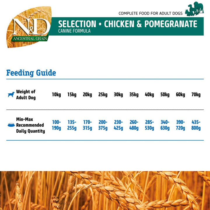 Farmina N&D Ancestral Grain Selection Chicken & Pomegranate Medium & Maxi Breed Adult - Dry Dog Food - 12 + 3kg