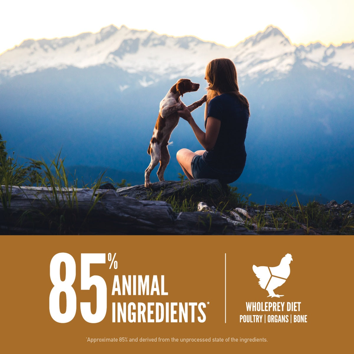 Orijen Puppy Dry Dog Food - All Breed