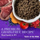 Orijen 6 Fish Dry Dog Food - All Breed & Ages - Zigly