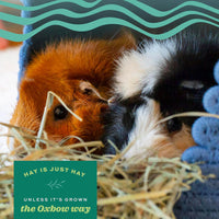 Oxbow Alfalfa Hay - 425g