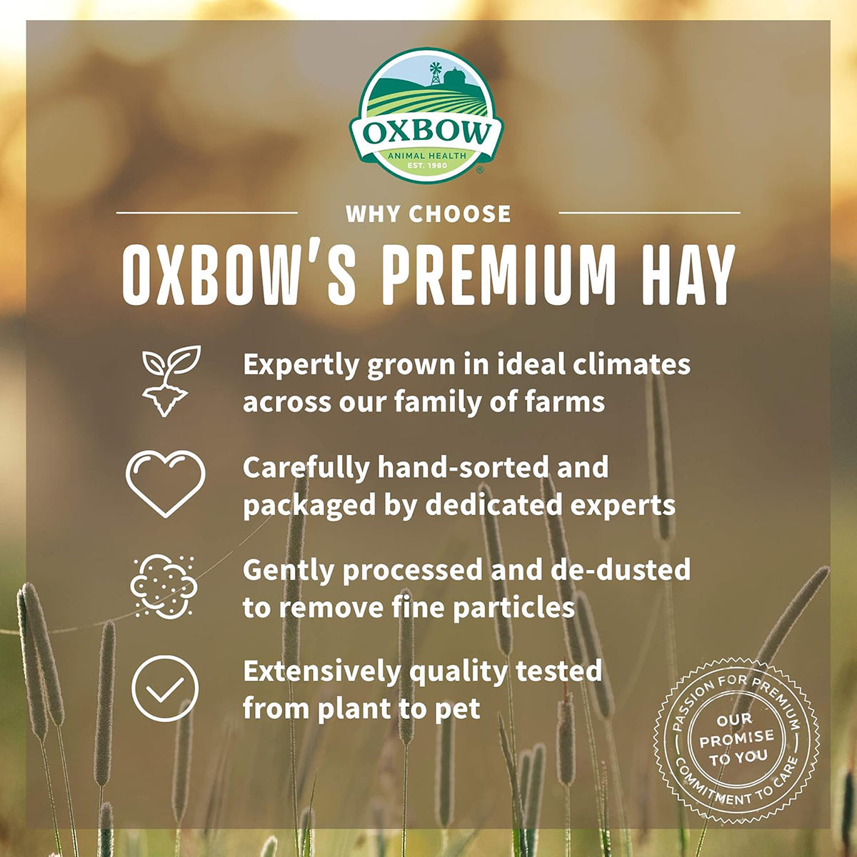 Oxbow Botanical Hay - 425g