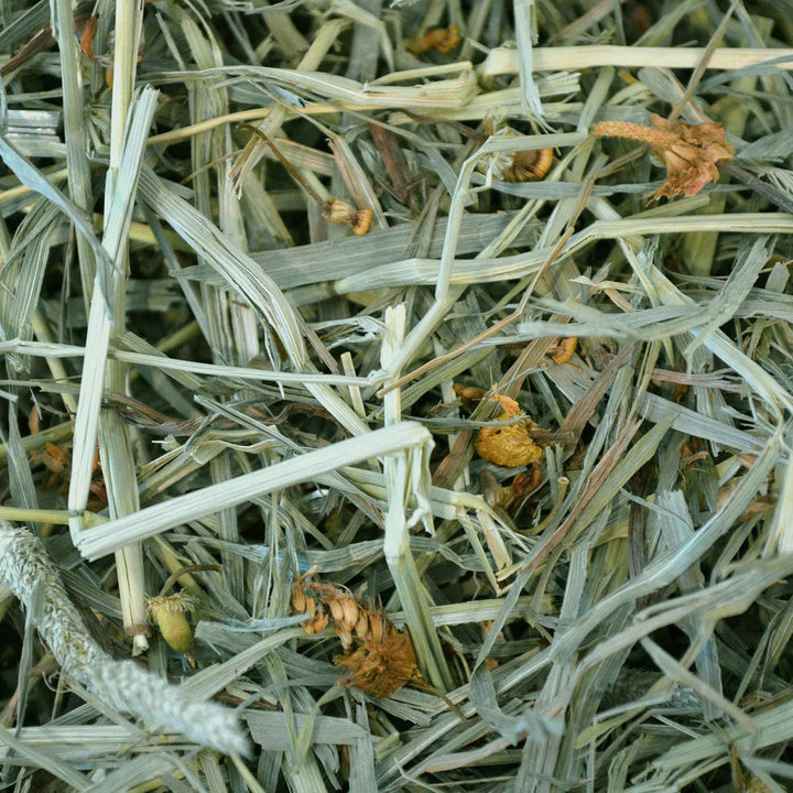 Oxbow Botanical Hay - 425g