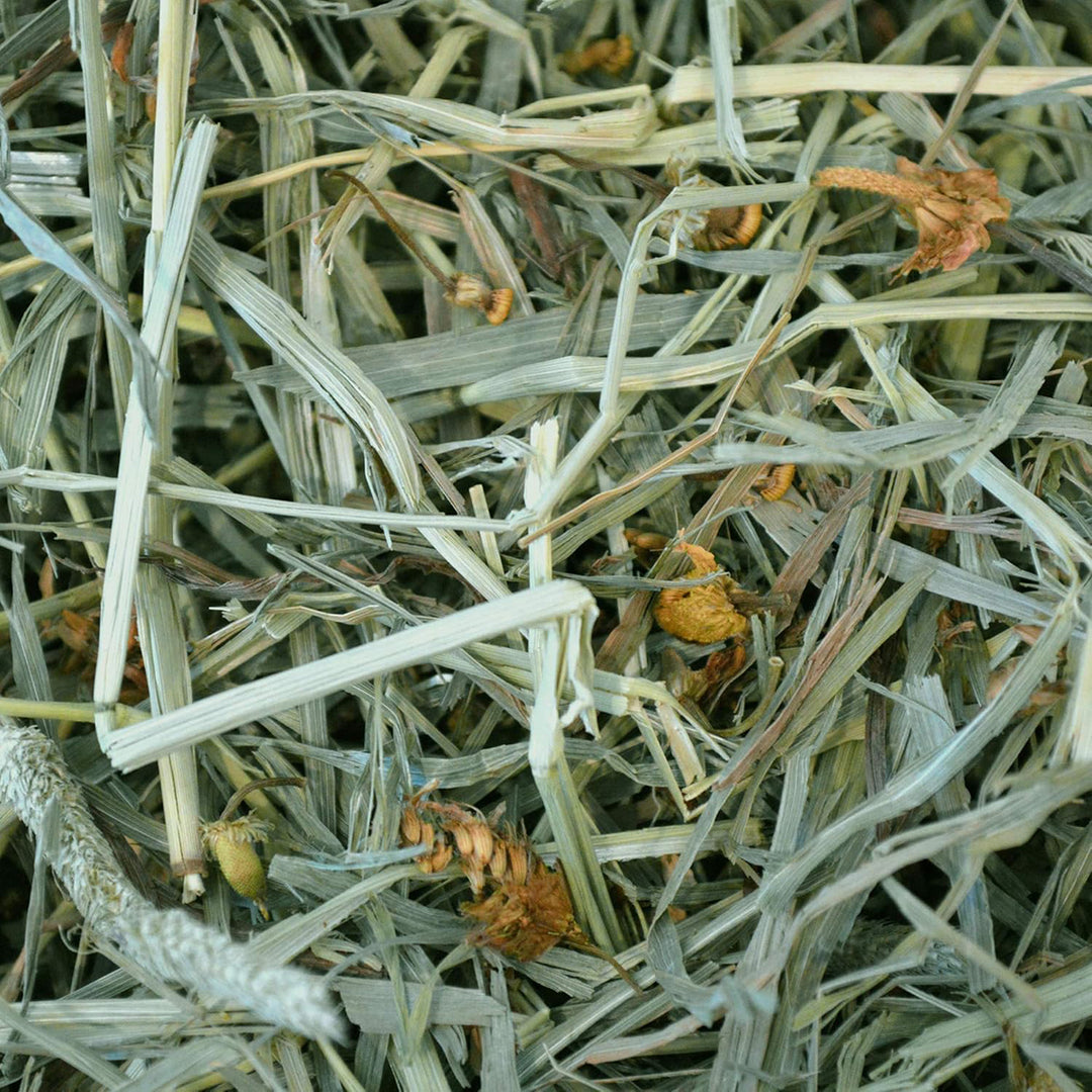 Oxbow Botanical Hay - 425g