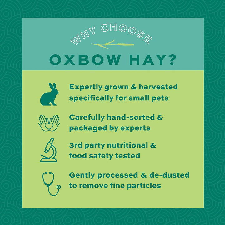 Oxbow Western Timothy Hay - 1.13kg