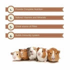 Vitapol Economic Small Animal Food For Hamster 1.2kg - Zigly
