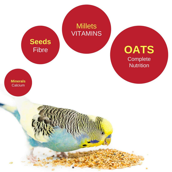 Vitapol Economic Bird Food For Budgie - 1.2kg