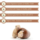 Versele Laga Small Animal Feed Crispy Muesli Hamsters & Co - 1kg - Zigly