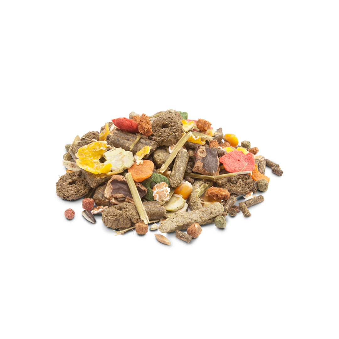 Versele Laga Small Animal Feed Crispy Muesli Rabbits - 1kg