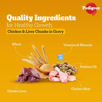 Pedigree Chicken Chunks in Gravy Puppy Wet Dog Food - 130g