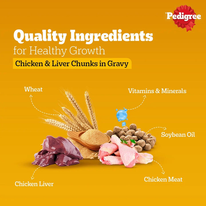 Pedigree Chicken Chunks in Gravy Puppy Wet Dog Food - 130g