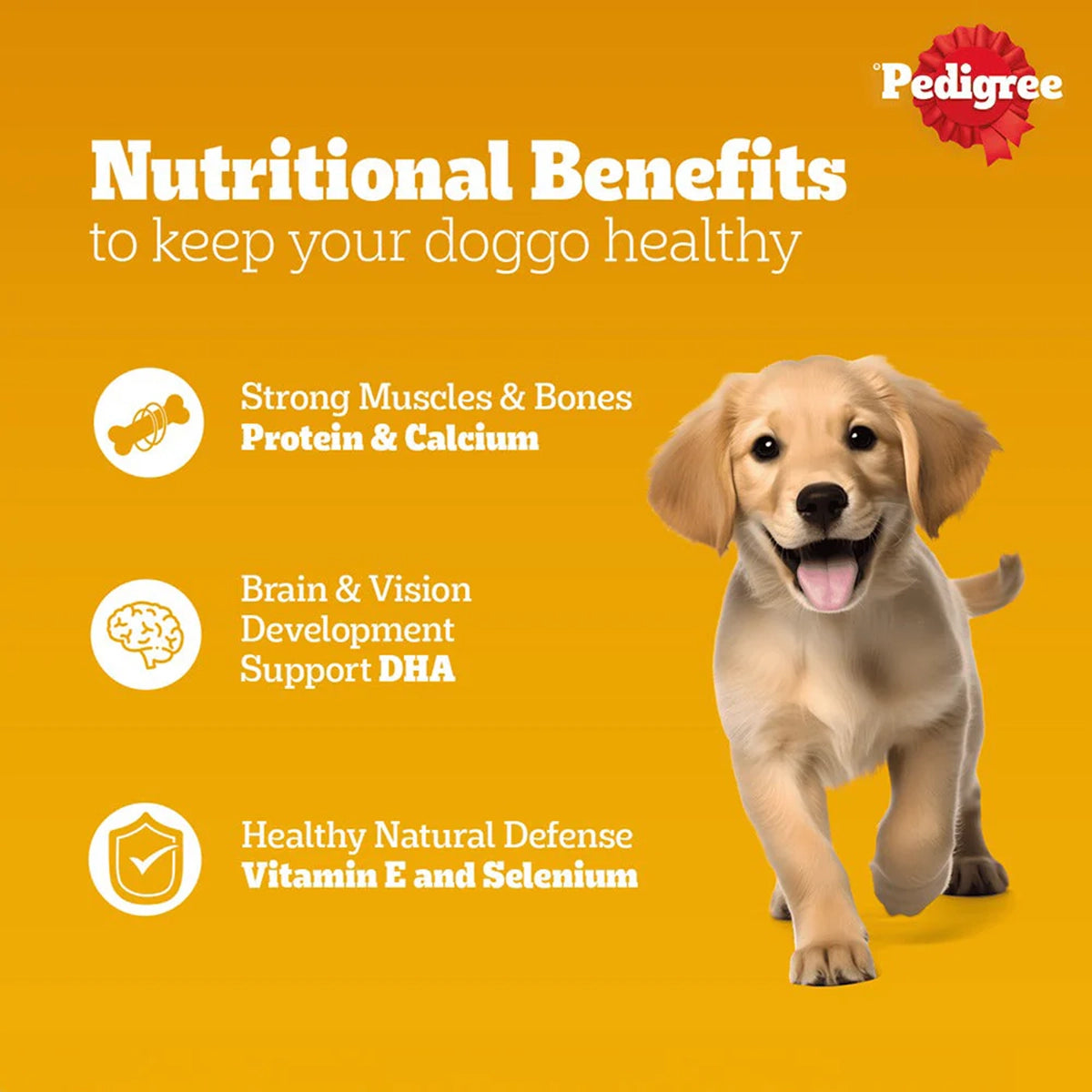 Pedigree Chicken Chunks in Gravy Puppy Wet Dog Food - 130g